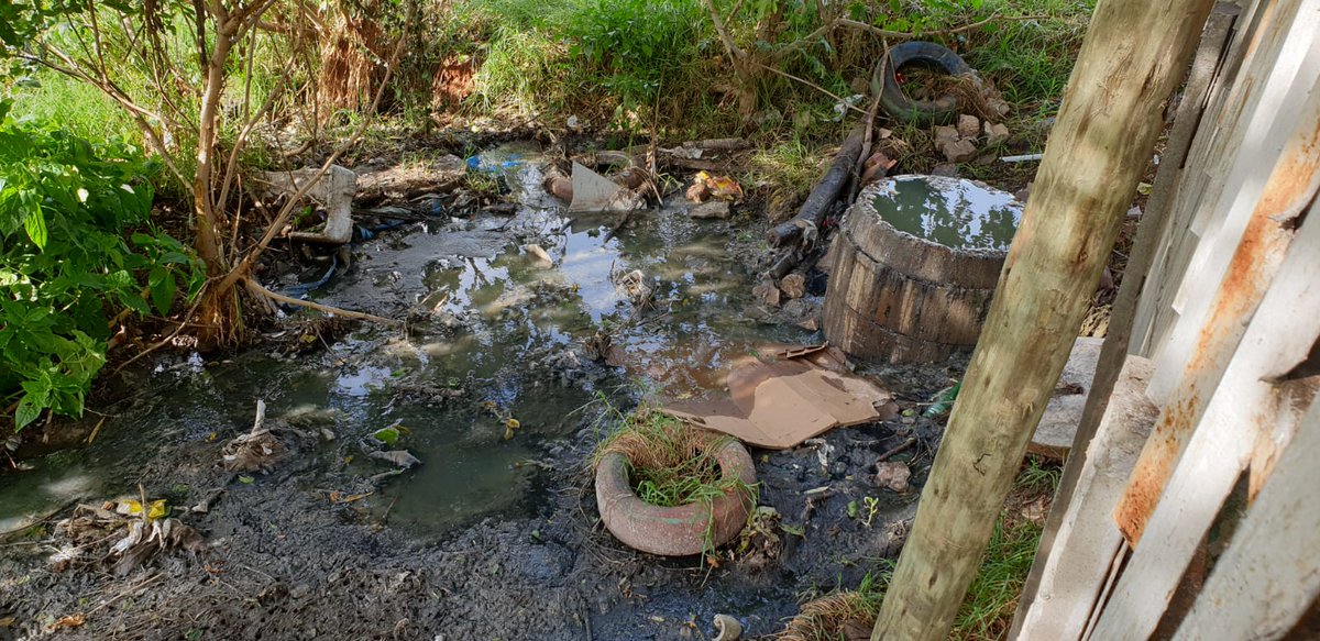 Renske Jacobs tweet media