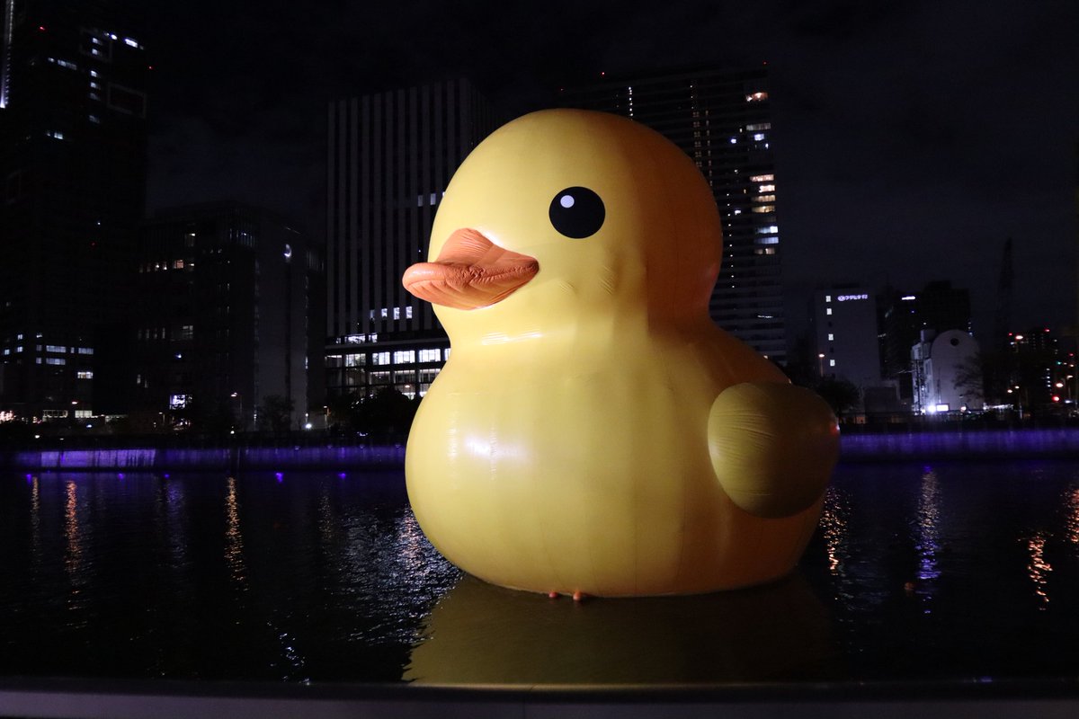 misakichigamba's tweet photo. 福島港に浮かぶラバーダックちゃん🐥
道向かいにでっかいアヒルが見えた瞬間が一番テンション上がりました😆

#nakanoshimawest #中之島ウエスト #ラバーダック #RubberDuckProject https://t.co/WpI0yhLqLn