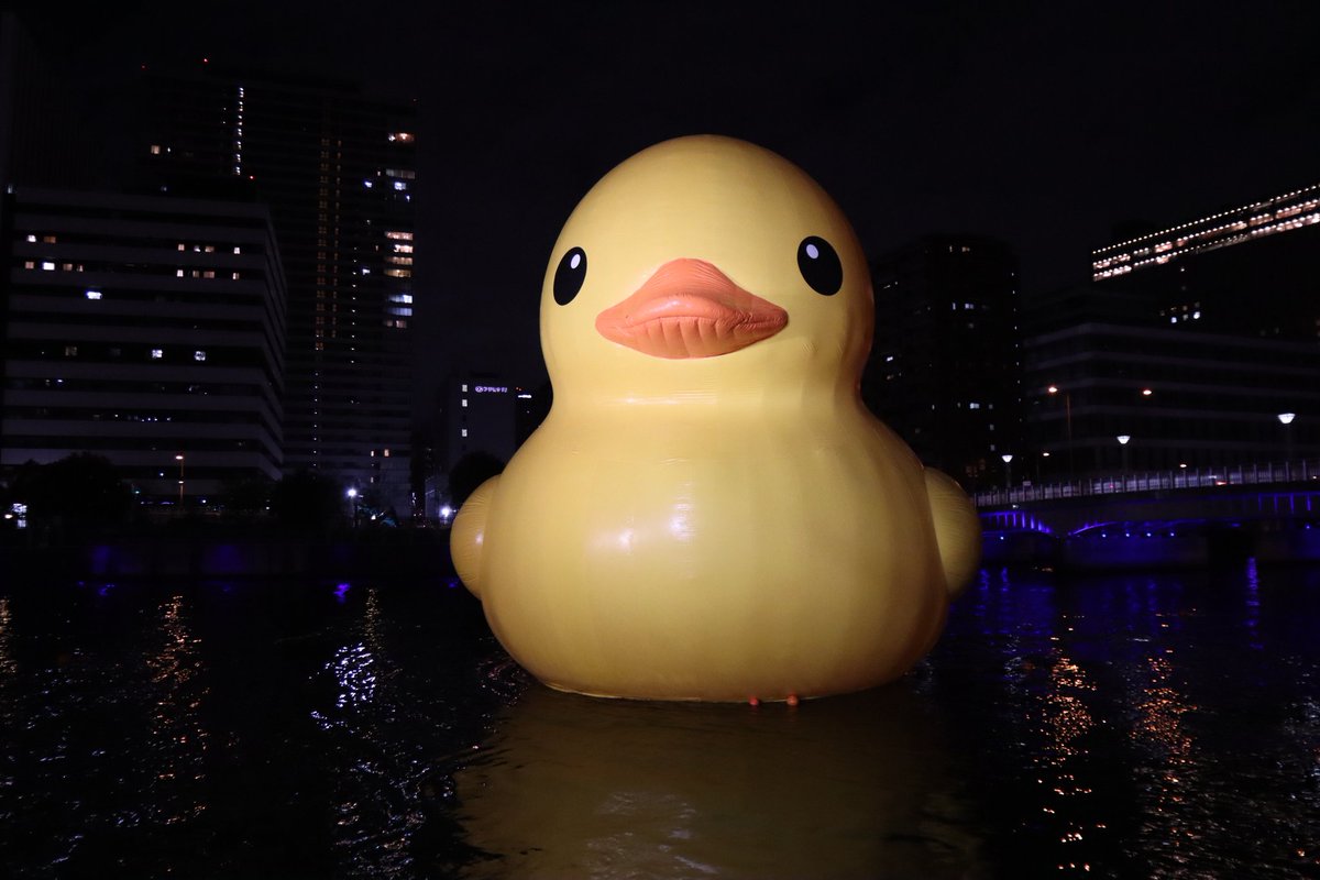 misakichigamba's tweet photo. 福島港に浮かぶラバーダックちゃん🐥
道向かいにでっかいアヒルが見えた瞬間が一番テンション上がりました😆

#nakanoshimawest #中之島ウエスト #ラバーダック #RubberDuckProject https://t.co/WpI0yhLqLn