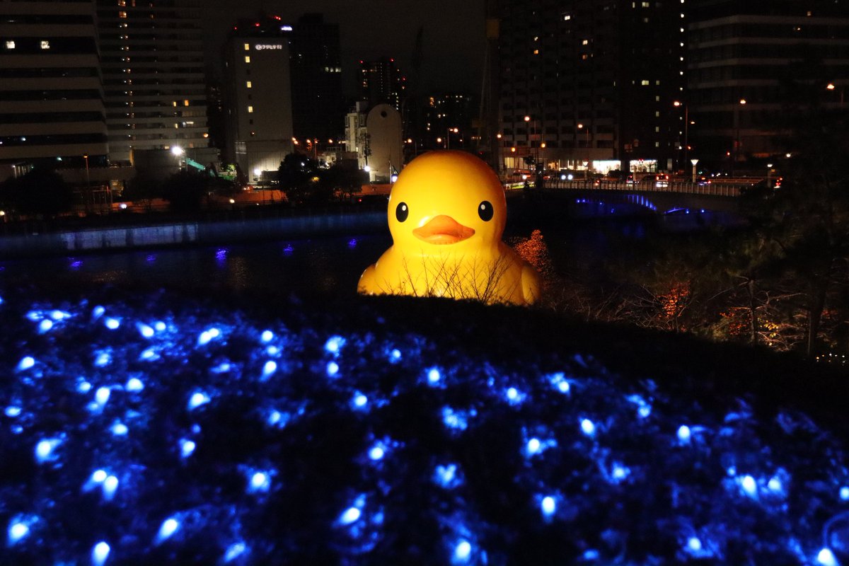 misakichigamba's tweet photo. 福島港に浮かぶラバーダックちゃん🐥
道向かいにでっかいアヒルが見えた瞬間が一番テンション上がりました😆

#nakanoshimawest #中之島ウエスト #ラバーダック #RubberDuckProject https://t.co/WpI0yhLqLn