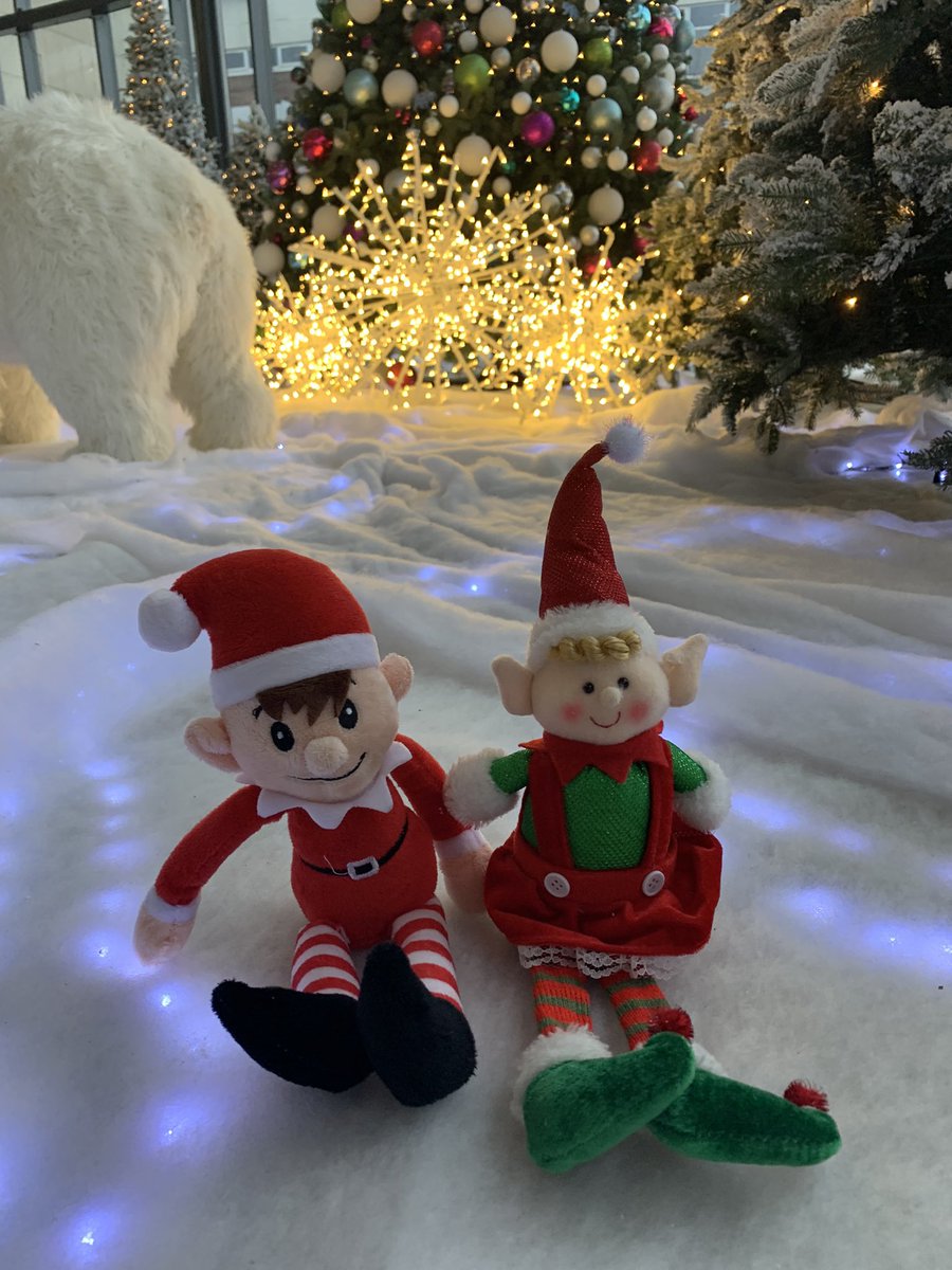 Infection Prevention at BlackpoolTeachingHospitals (@ipteambth) on Twitter photo As it’s only 9 sleeps till Christmas the <a href="/IPTeamBTH/">Infection Prevention at BlackpoolTeachingHospitals</a> elves have magically appeared! 🎄🎅☃️
#infectionprevention
#elfontheshelf
#Christmas2024
<a href="/BlackpoolHosp/">NHS Blackpool Teaching Hospitals 💙🌈</a> As it’s only 9 sleeps till Christmas the <a href="/IPTeamBTH/">Infection Prevention at BlackpoolTeachingHospitals</a> elves have magically appeared! 🎄🎅☃️
#infectionprevention
#elfontheshelf
#Christmas2024
<a href="/BlackpoolHosp/">NHS Blackpool Teaching Hospitals 💙🌈</a>
