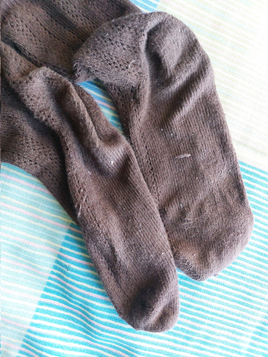 Alba 🦁 tweet media