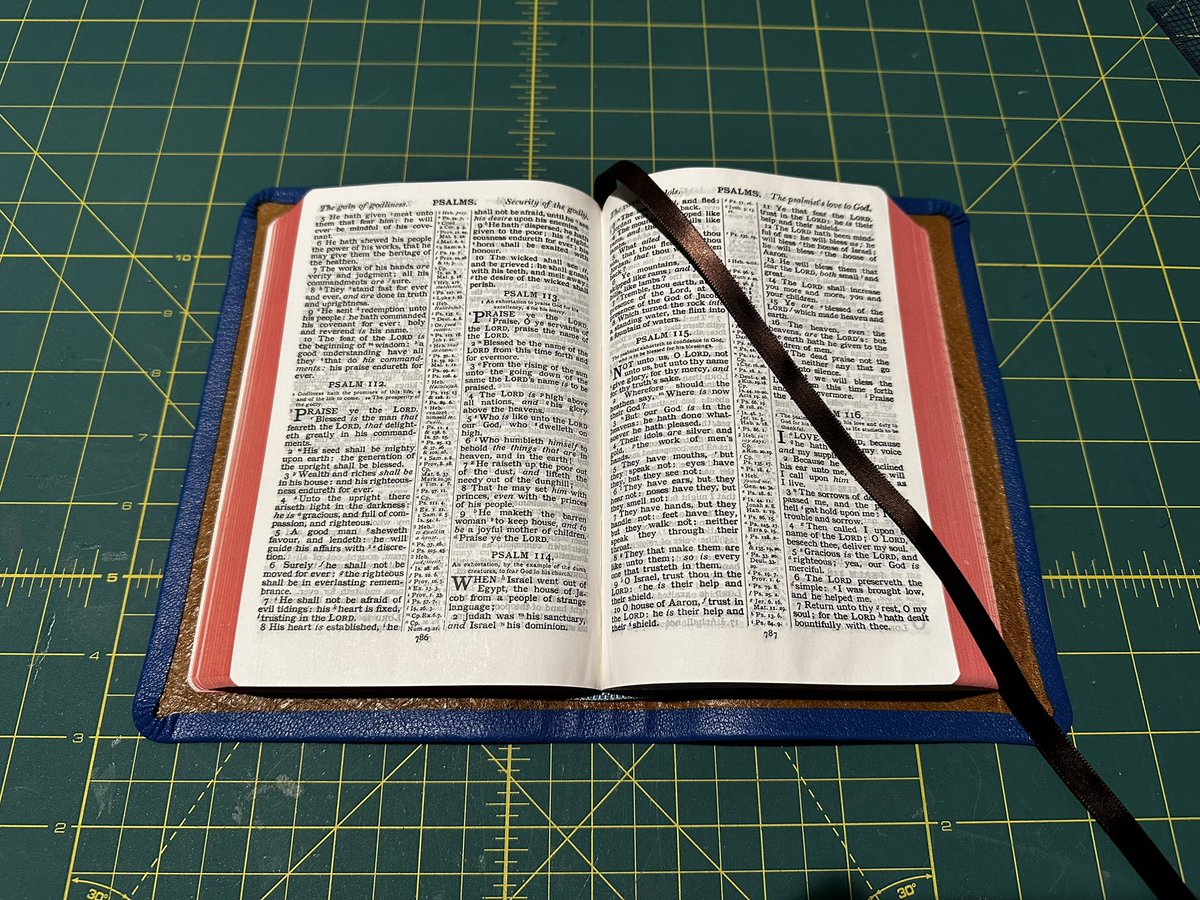 Normally I do not have as many photos as I did for this little Bible. I was talking through and showing someone how I was doing what I do for rebinding and taking photos through the stamping process. 

Here are a few photos of a little Allan 8 getting rebound in a Royal Blue