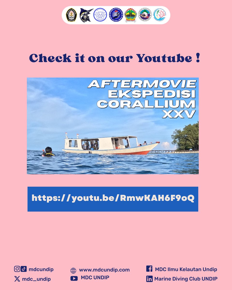 MARINE DIVING CLUB tweet media
