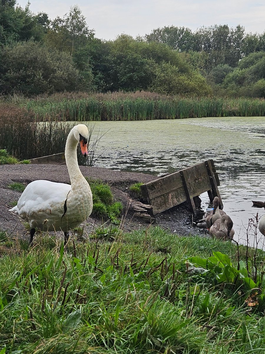 GM Ringway tweet media