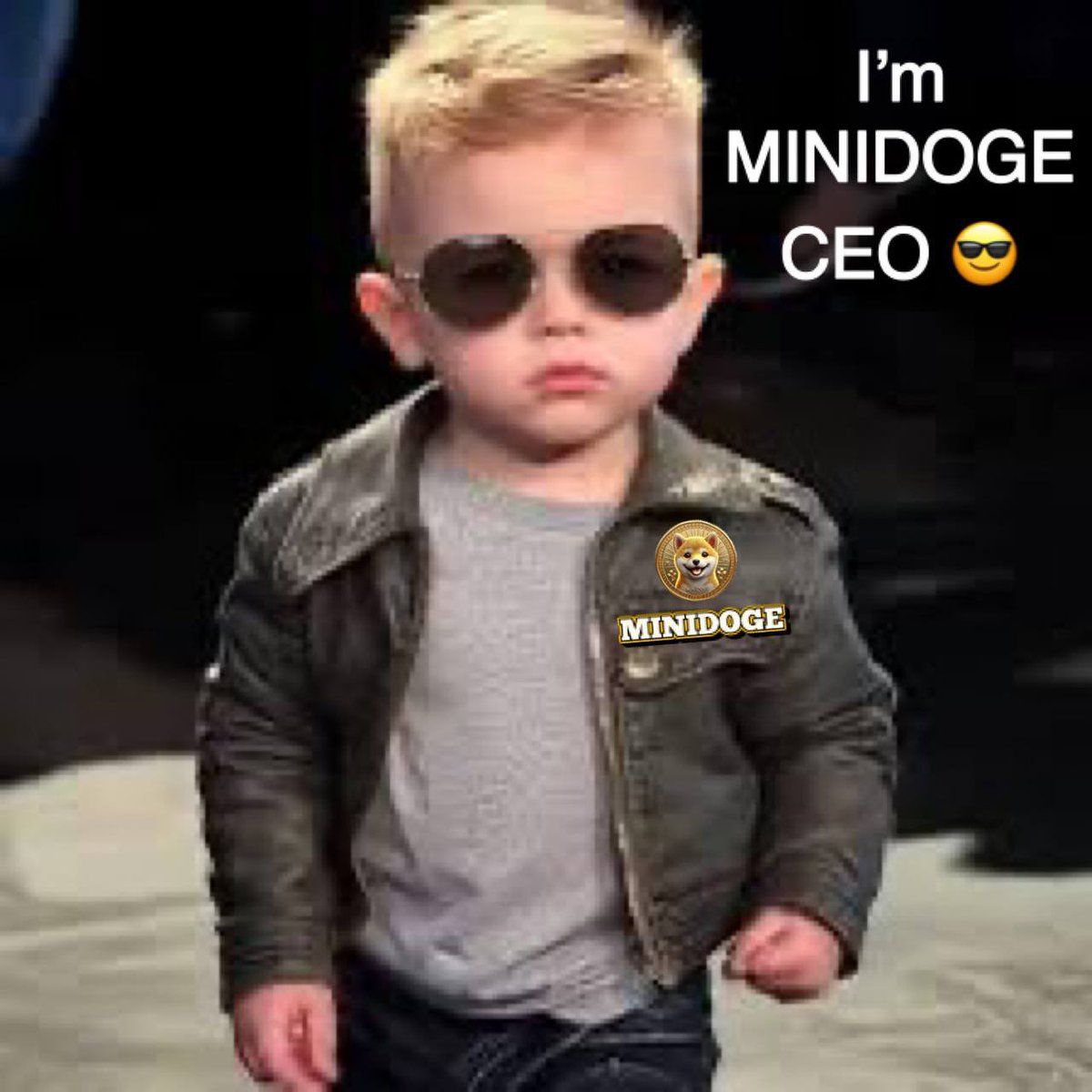 Goldholder666's tweet photo. @romanc2002 @btcdaheng #MINIDOGE
给你介绍一下这是我们#MINIDOGE的CEO，LiLX https://t.co/5NVu1dcOa2