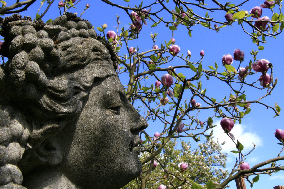 Great Comp Garden tweet media