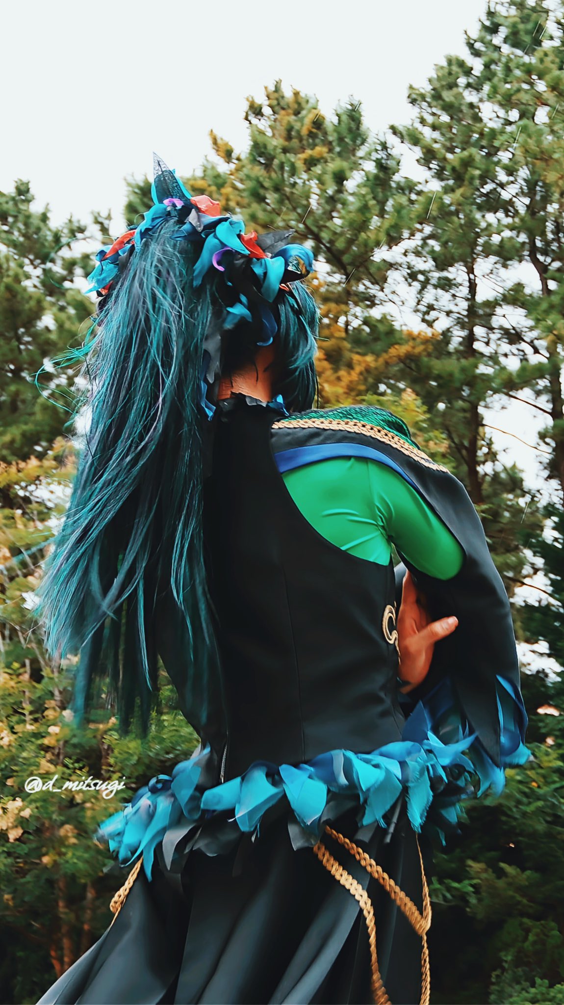 y (@241016_C1_45) / X