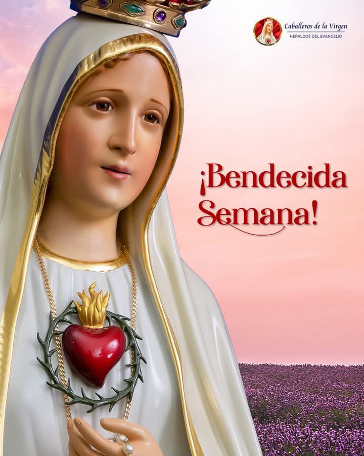 ¡Bendecida Semana!

Virgen María, Madre llena de gracia, acompáñame en este inicio de semana y guíame con tu amor maternal hasta encontrarme al lado de Nuestro Señor Jesucristo.