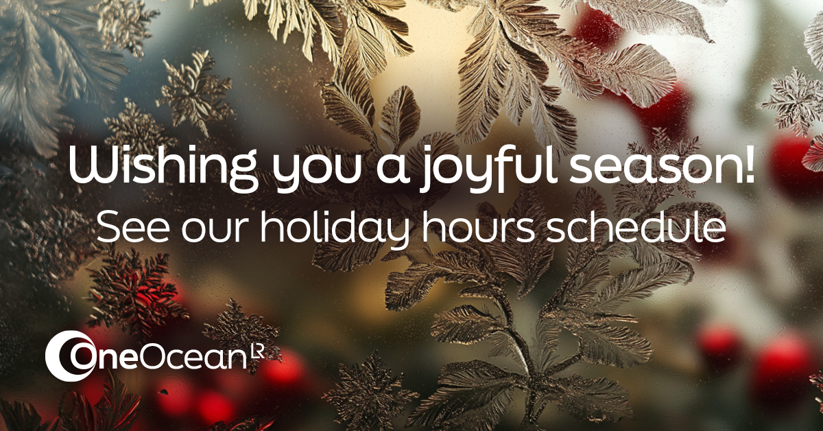 As the holidays approach, we extend our warm wishes for a joyous season and a successful start to the new year.

Over the coming weeks, adjusted hours will be in effect for some of our teams. For full details on our availability, visit our webpage here: loom.ly/kbksEmo