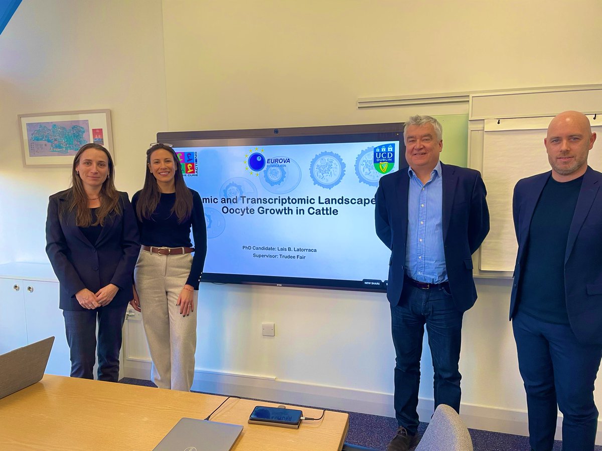 Lais Latorraca tweet media