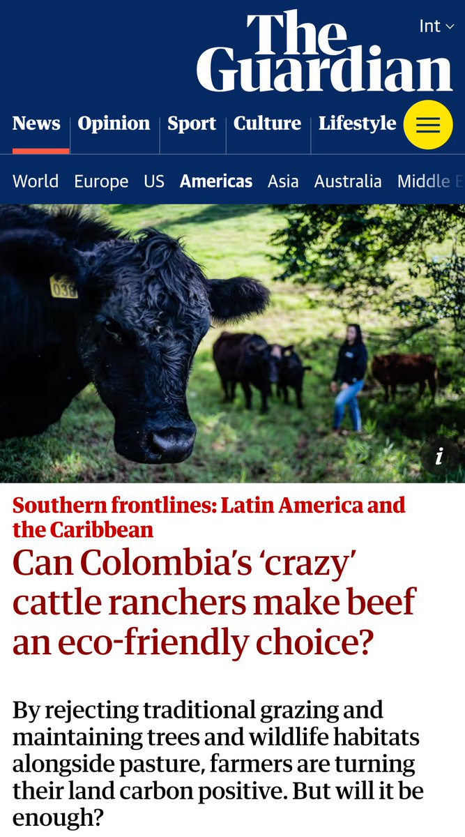 Ultra-Processed Rewilding