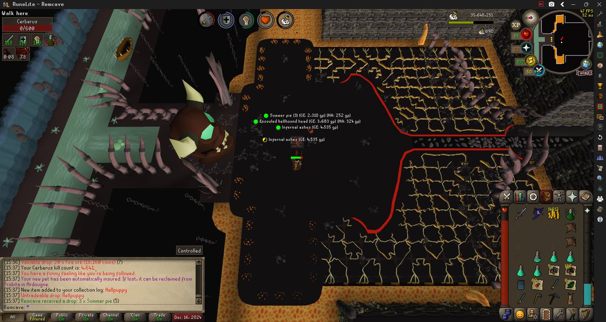 Remcavee's tweet photo. #14 Hellpuppy 4641 kc https://t.co/CCAr04AEy8