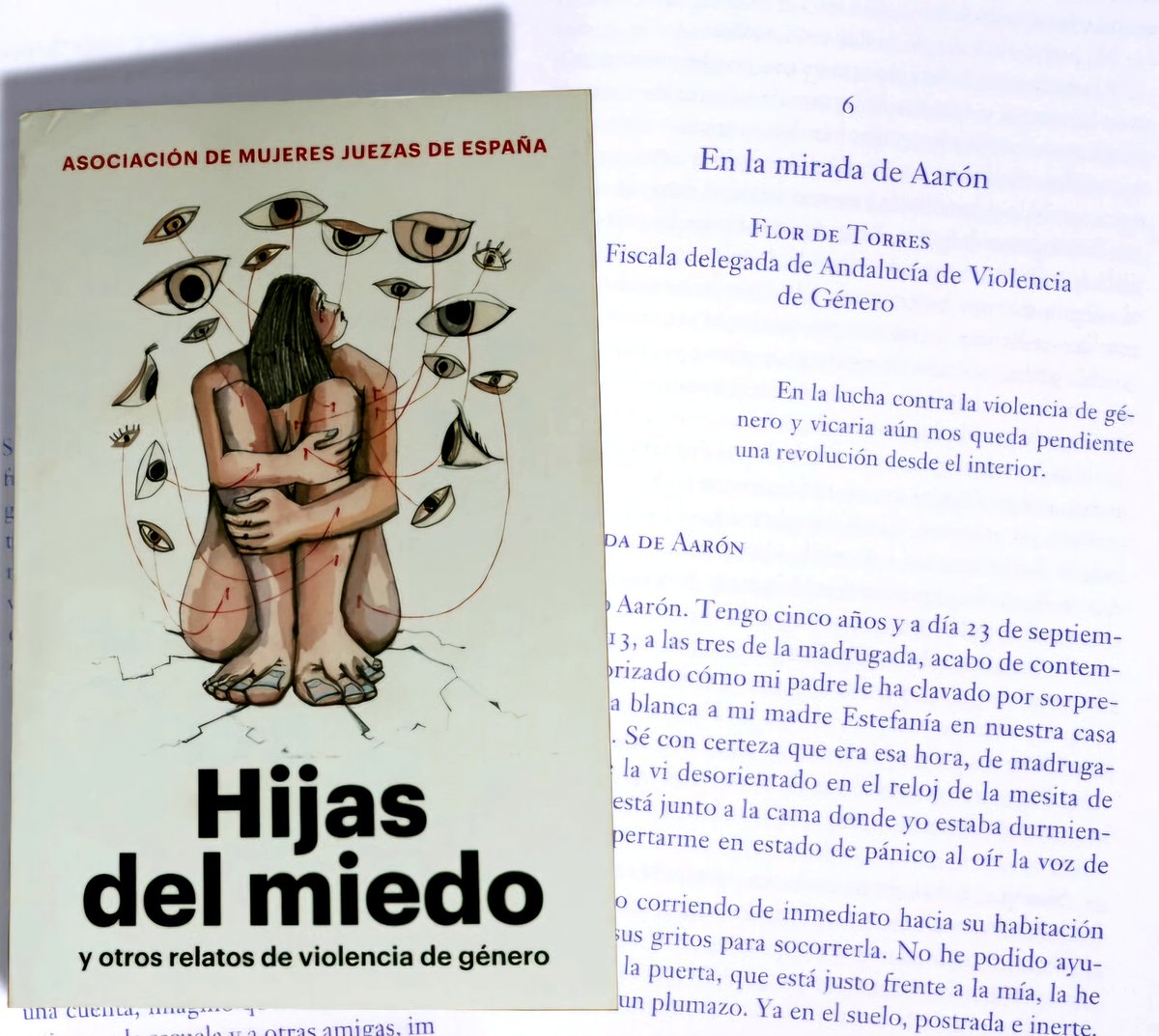 FlordeTorres_'s tweet photo. "Hijas del miedo" de @mujeresjuezas humaniza la Justicia y otorga Justicia Restaurativa a las víctimas

🟪16 Juezas y 3 Fiscalas necesitabamos  contar en primera persona nuestras experiencias de #VdeG

🟪 II Edición tras su presentación en @IgualdadGob el 26/11/24

Gracias https://t.co/2XZMmr9d1O