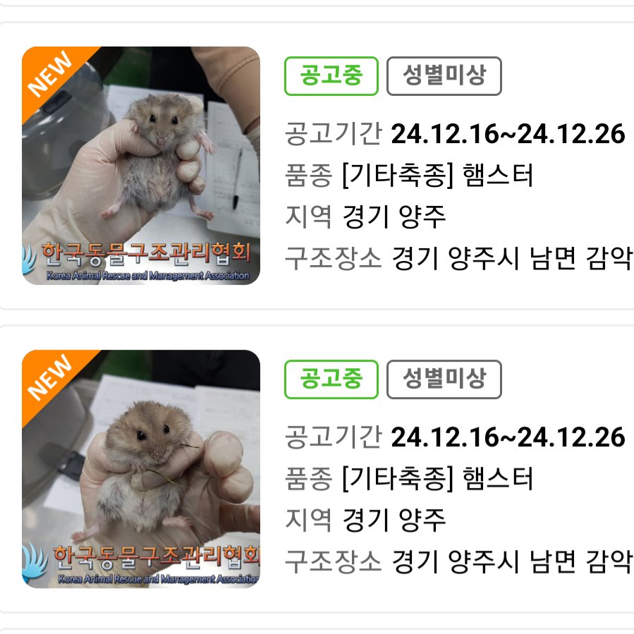 컷오프 프로젝트 tweet media