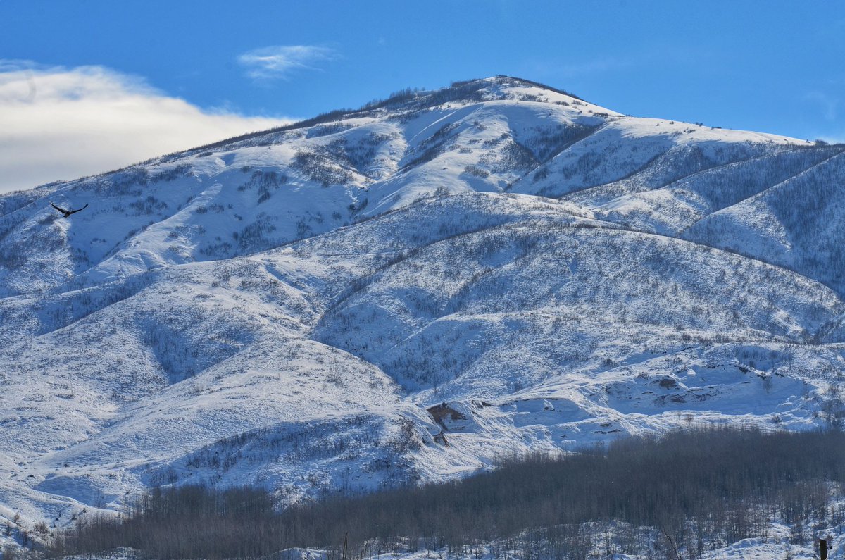 Oysa,
İçimde bir bahar havası var.