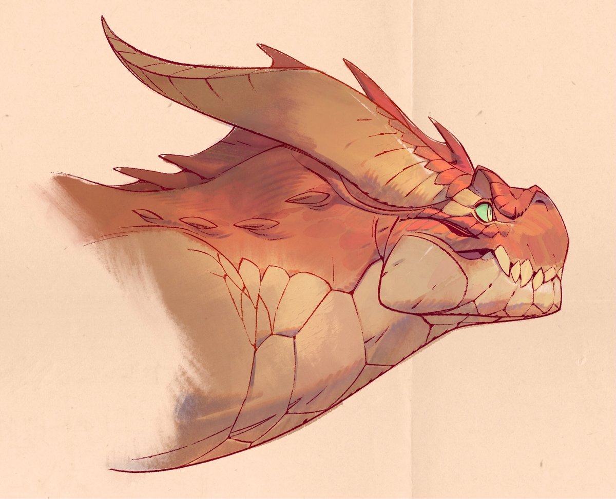 Nicholas Kole tweet media