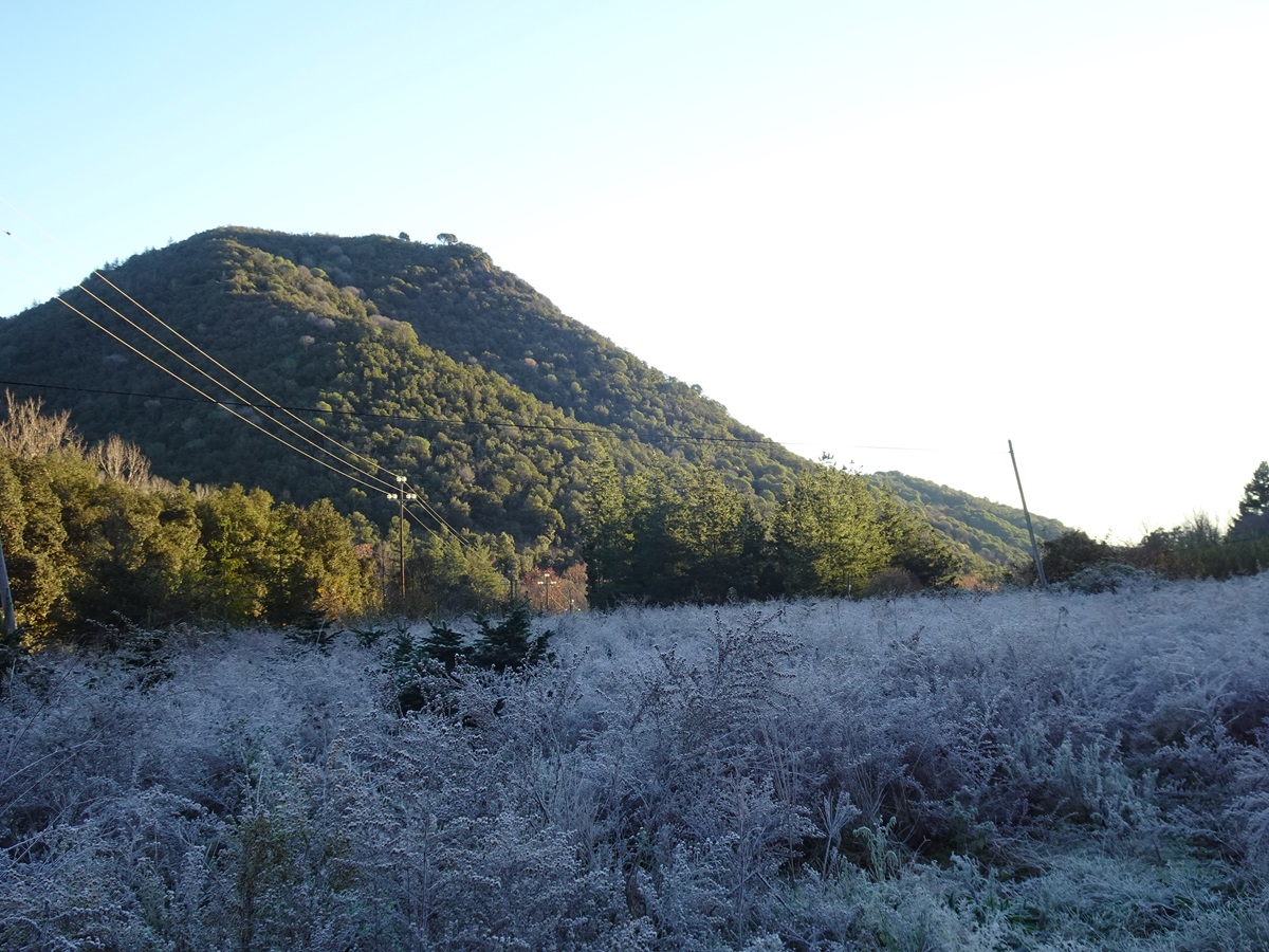 FelixtHart1's tweet photo. Com m'agrada el fred...🤍
Matins gebrats.❄️
#ElTemps3Cat #meteocat #gebre #fred #escarcha #frio #meteo #natura #invierno #arbucies
@meteocat @angelgalanmont @gemmapuigf @sarai_sarroca @eliseuvilaclara @Meteo_Roses @Meteoboig1 @MeteoGasso @MeteoMauri @meteo_garraf @MeteoSantFost https://t.co/igP9pPqtBs