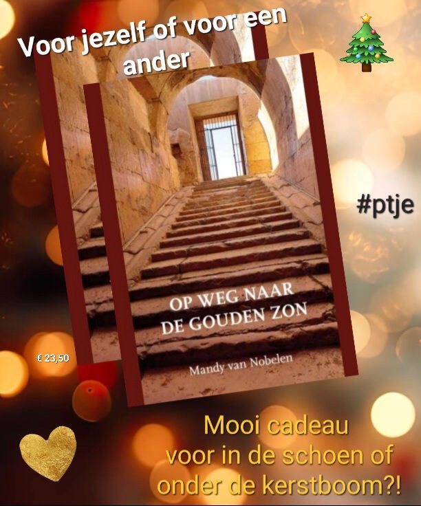 Mandy van Nobelen (@mandyvannobelen) on Twitter photo 