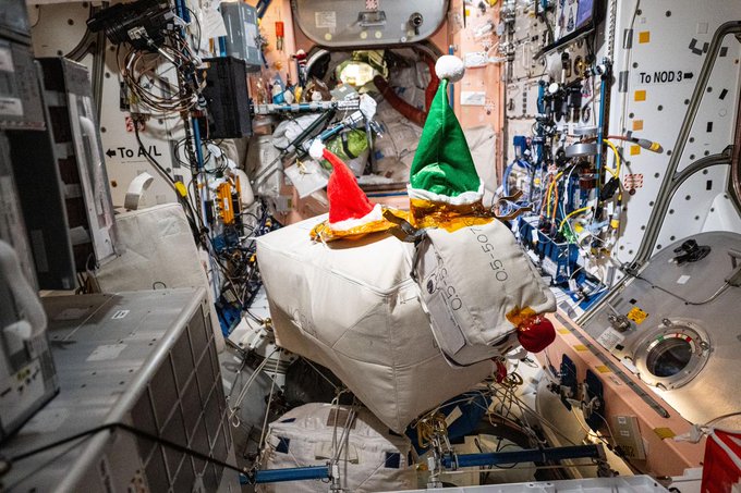 iss072e362773 (Nov. 24, 2024) --- The Expedition 72 crew is getting into the Christmas spirit aboard the International Space Station using excess hardware, cargo bags, and recently-delivered Santa hats to decorate the orbiting lab's Unity module with a familiar reindeer.