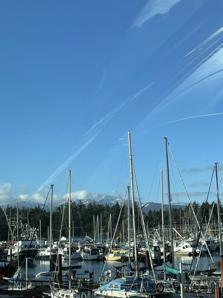 MomofOdieDexter's tweet photo. Does you see what I see? No? Look again. Yep that’s snow flowing down the river to the ocean! It musta come from way up there after the storm!😱
#Nooooooooooo
#dogs #dogsoftwitter #dogsofx https://t.co/zHmY7dtGAK