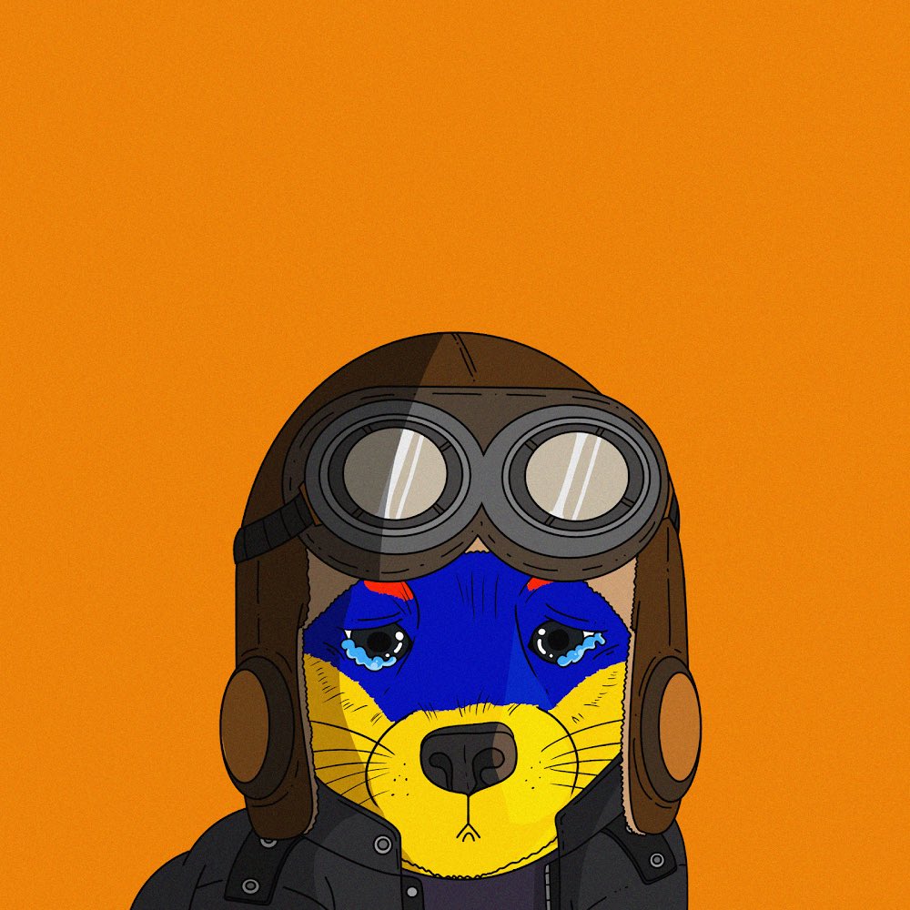 Creating a group chat for <a href="/Wifdog_sol/">Wifdog</a> holders, show proof of hodl to be added