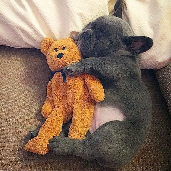 Sleeping time ❤️🥰