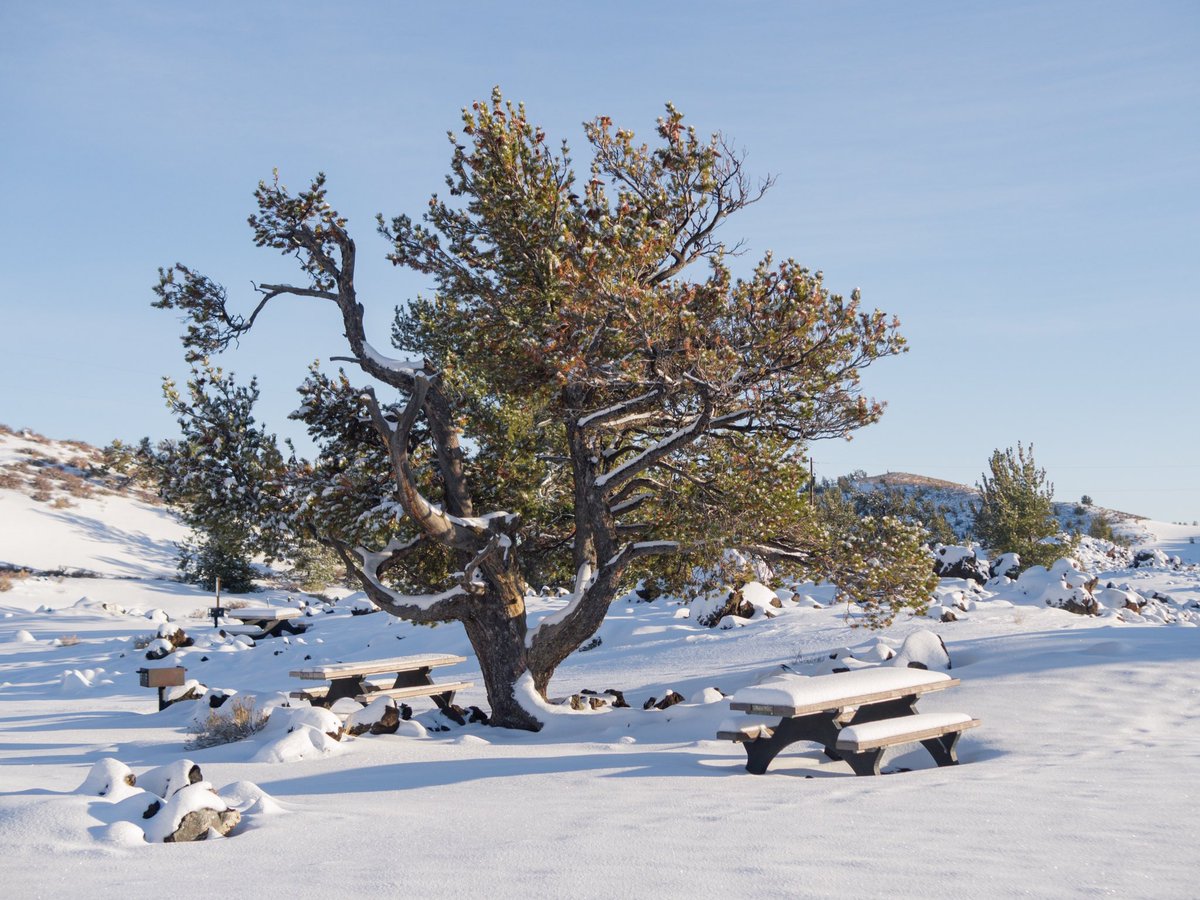 Winter in the high desert of Idaho