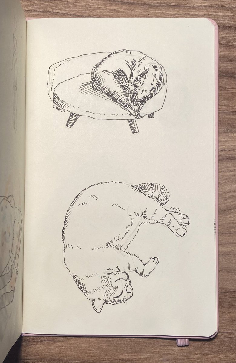 laurca_arts's tweet photo. Eepy kitties🩷 i had so much tun trying out some crosshatching on my kitties 🫶🏻 https://t.co/SrBq5OODeg