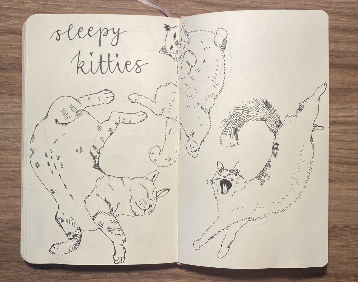 laurca_arts's tweet photo. Eepy kitties🩷 i had so much tun trying out some crosshatching on my kitties 🫶🏻 https://t.co/SrBq5OODeg