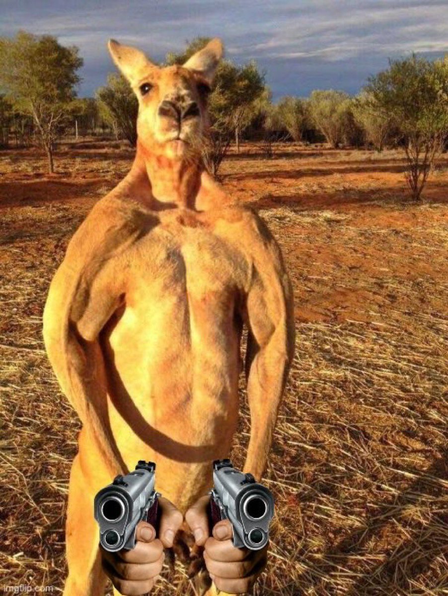 RogerCoinOnSol's tweet image. G’day fellas!