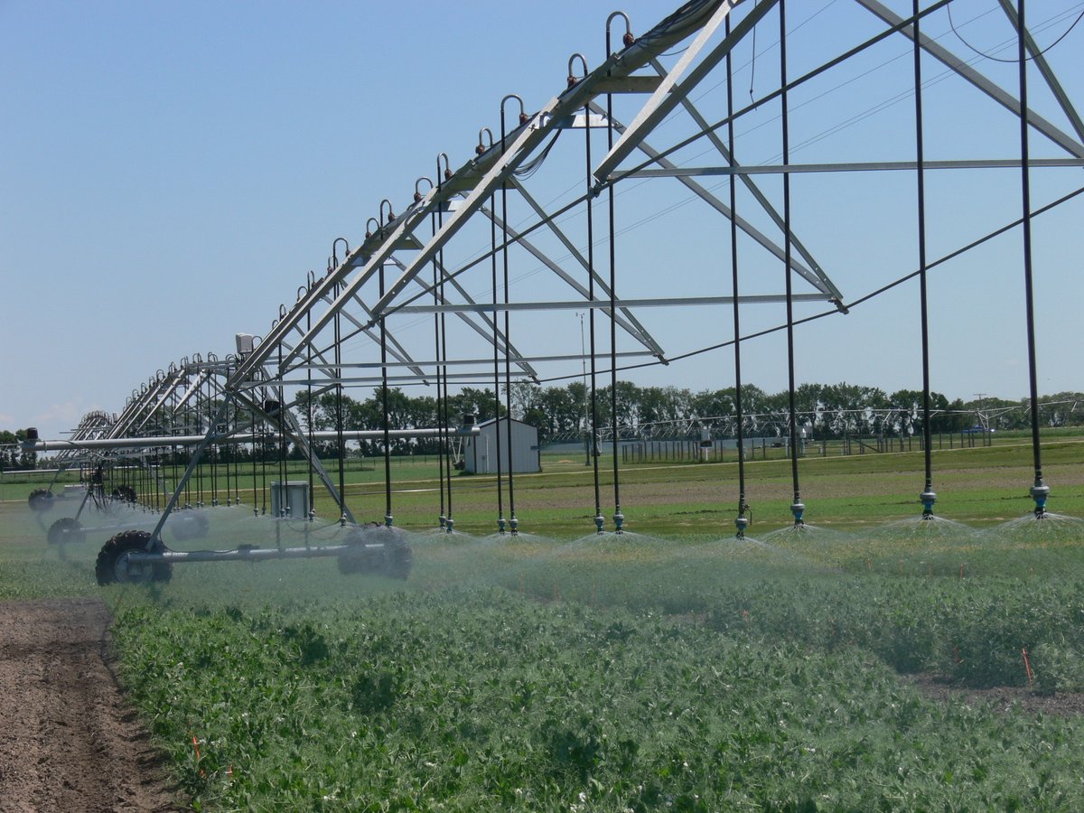 While Saskatchewan is known for agriculture, irrigation isn't as common—except in west-central Sask. Thanks to the Canada-Saskatchewan Irrigation Diversification Centre in Outlook, it's becoming the “irrigation capital” of the province. 

Read more: agwest.sk.ca/irrigation-in-…