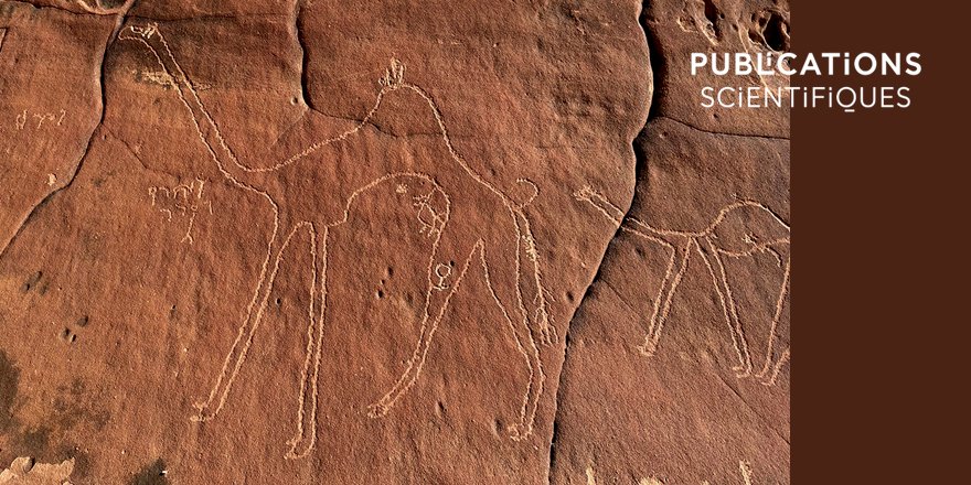 Publi_MNHN's tweet photo. [#archeologie] 🐪 Les représentations et les zoonymes du dromadaire (Camelus dromedarius Linnaeus, 1758) dans l’art rupestre et l’épigraphie le long de la route caravanière nabatéenne entre Hégra et Taymāʾ (🇸🇦) ⤵

✒ Bernard FAYE et al.
🔗 https://t.co/g1GlWAFpO6
#camelus https://t.co/13aiohwnK9