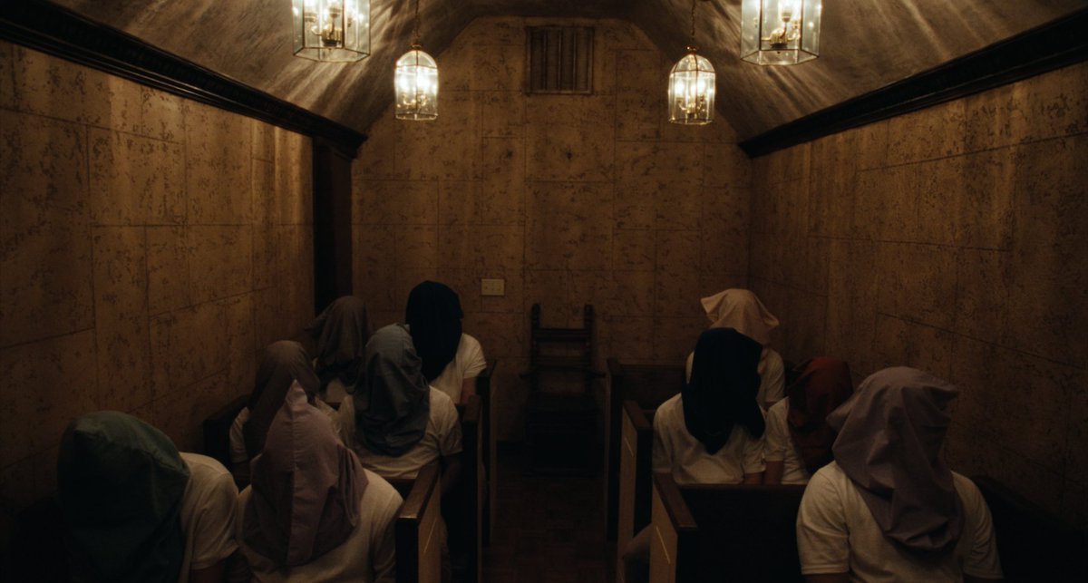 OCN Distribution tweet media