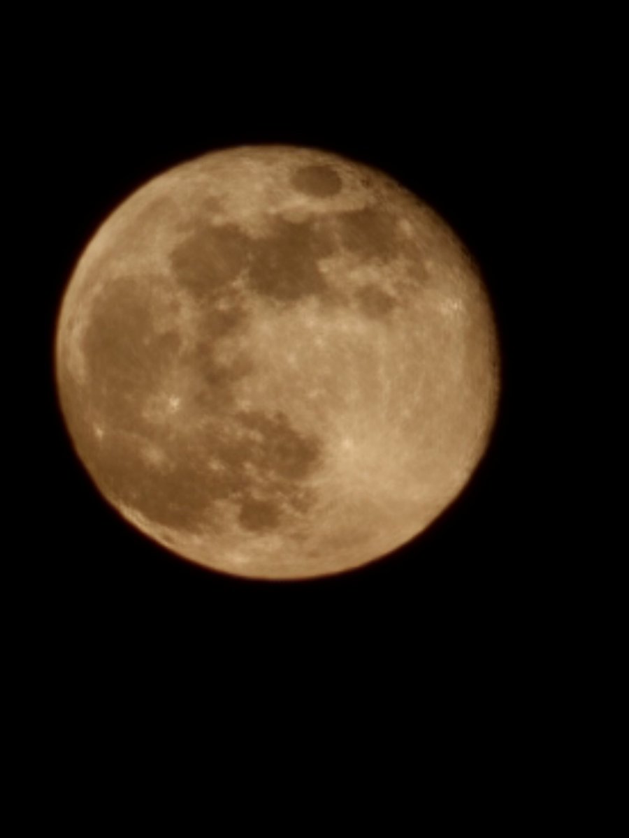 mikamanma's tweet photo. 昇り始めの月が大きくて綺麗でした🌙 https://t.co/mqumUDDgqs