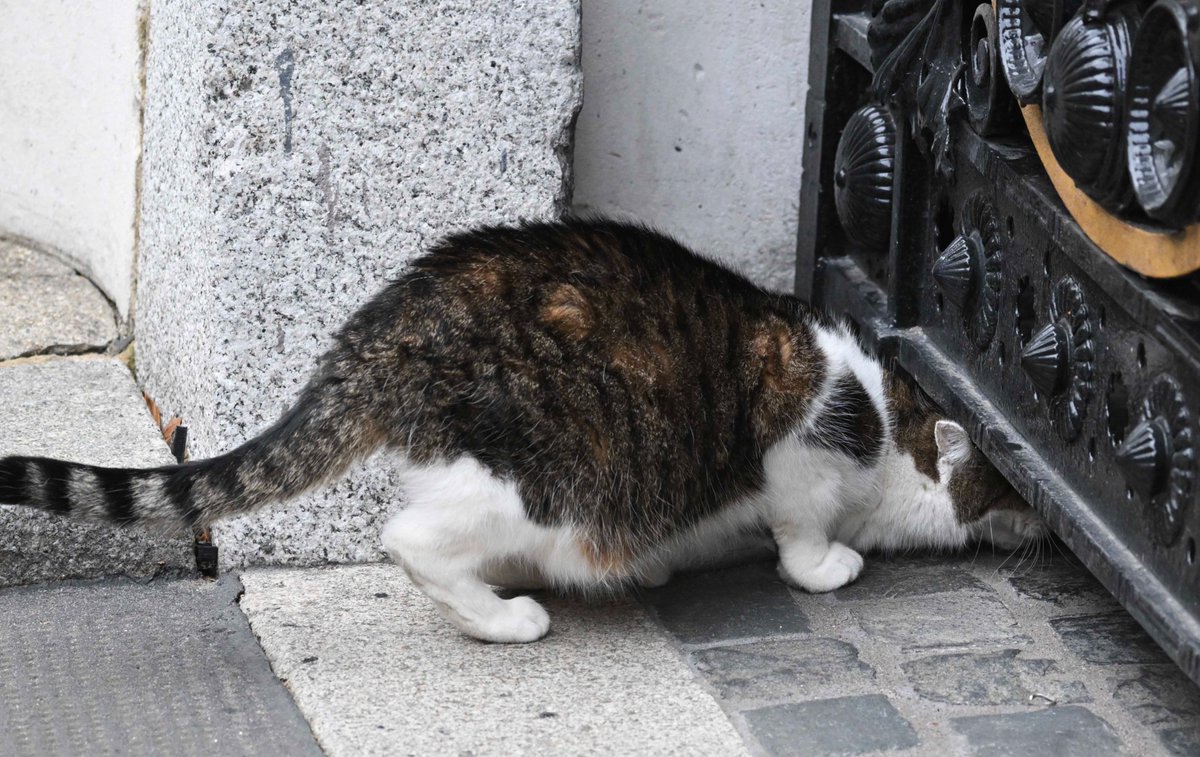 PoliticalPics tweet media