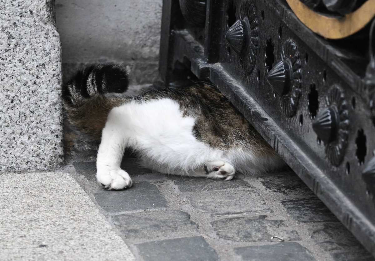 PoliticalPics tweet media