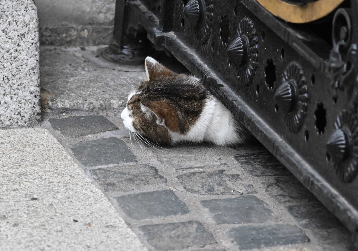 PoliticalPics tweet media