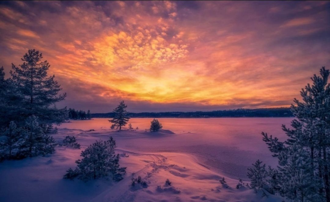 Miep51082958's tweet image. #WinterSunset  #Sunset
#WinterBeauty ❄️
