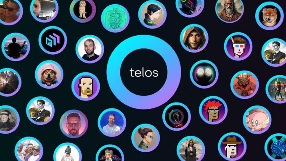 teloswashere's tweet image. If you are a true $TLOS community member and want to represent TELOS, then use the link below to add the #TELOS ring around your PFP! Let’s show all social media platforms how strong the #TLOS community is! @HelloTelos 

🔗 telos-frame.netlify.app

Big shoutout to @_christop_ for