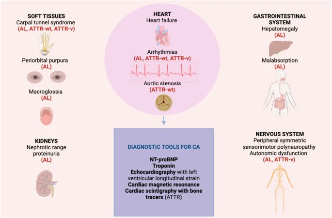 COST Action EU-METAHEART tweet media