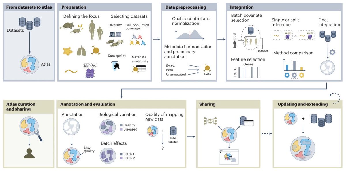 naturemethods's tweet image. A Review from @MDLuecken, @SikkemaLisa, @KHrovatin, @fabian_theis &amp;amp; colleagues provides a comprehensive and detailed discussion about how to build and use single-cell atlases.

nature.com/articles/s4159…