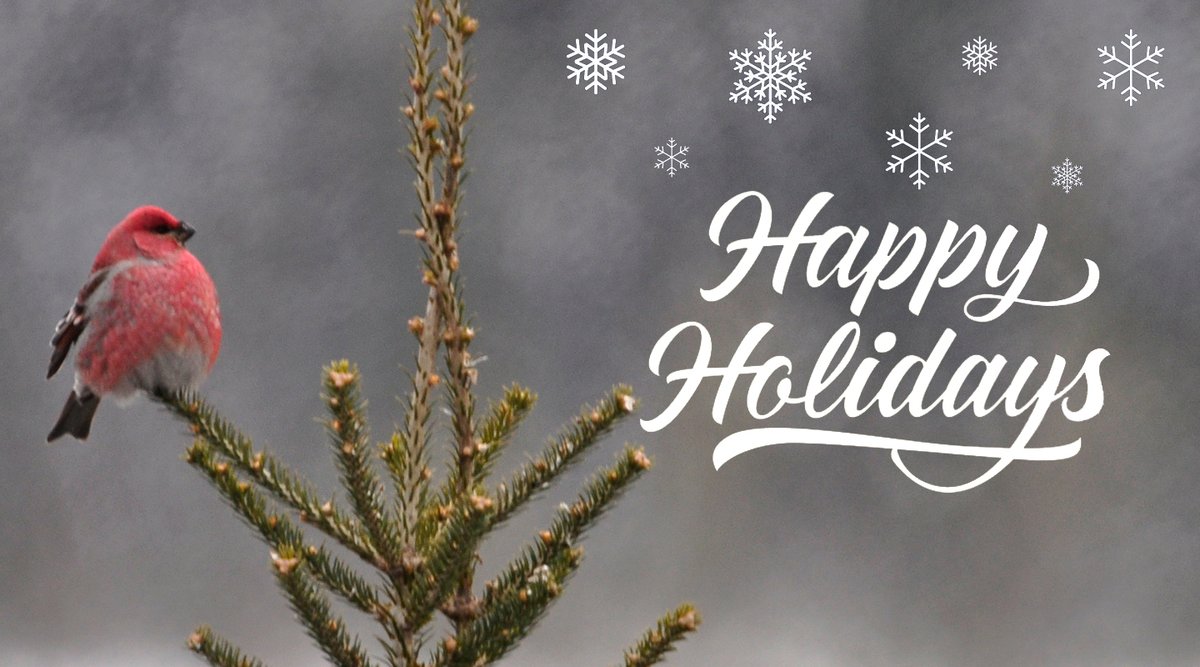 The year may be coming to an end, but our commitment to protecting birds never stops. Your loyal support and generosity this year have fueled our bird-safe efforts, and together, we have accomplished so much.

We wish you a wonderful holiday season &amp; all the best in 2025.