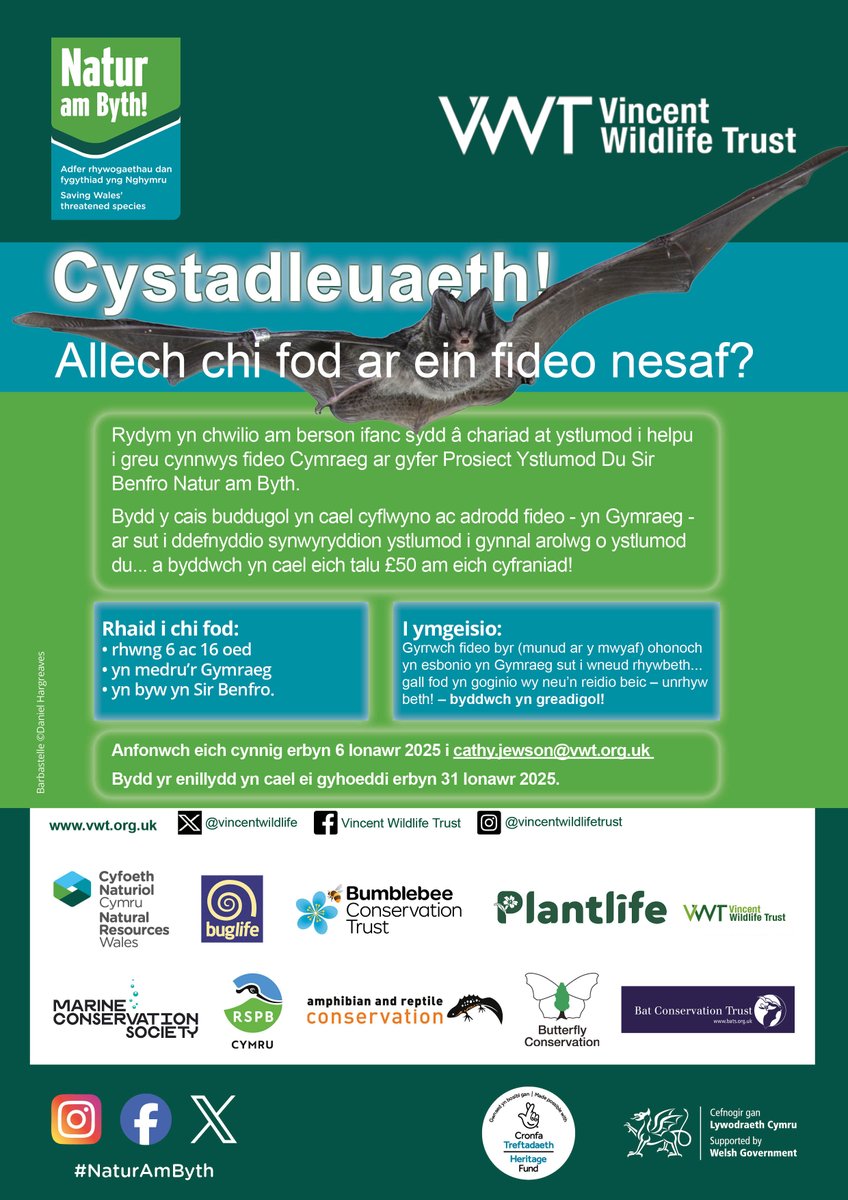 Vincent Wildlife (@vincentwildlife) on Twitter photo Allwch chi helpu Prosiect Ystlumod Du <a href="/NaturAmByth/">Natur am Byth!</a> VWT? Ydych chi rhwng 6 ac 16 oed ac yn siarad Cymraeg? Rydym yn chwilio am rywun i leisio fideo Cymraeg ar sut i ddefnyddio synwyryddion ystlumod. Gallech ennill gwobr o £50. Dyddiad cau 6 Ion. Gweler y poster am fwy o fanylion. Allwch chi helpu Prosiect Ystlumod Du <a href="/NaturAmByth/">Natur am Byth!</a> VWT? Ydych chi rhwng 6 ac 16 oed ac yn siarad Cymraeg? Rydym yn chwilio am rywun i leisio fideo Cymraeg ar sut i ddefnyddio synwyryddion ystlumod. Gallech ennill gwobr o £50. Dyddiad cau 6 Ion. Gweler y poster am fwy o fanylion.