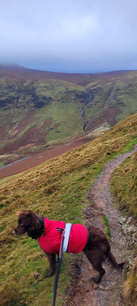 Blustery day on #Robinson &amp; #Knottrigg
#lakedistrict
#wainwrights
#newlandspass