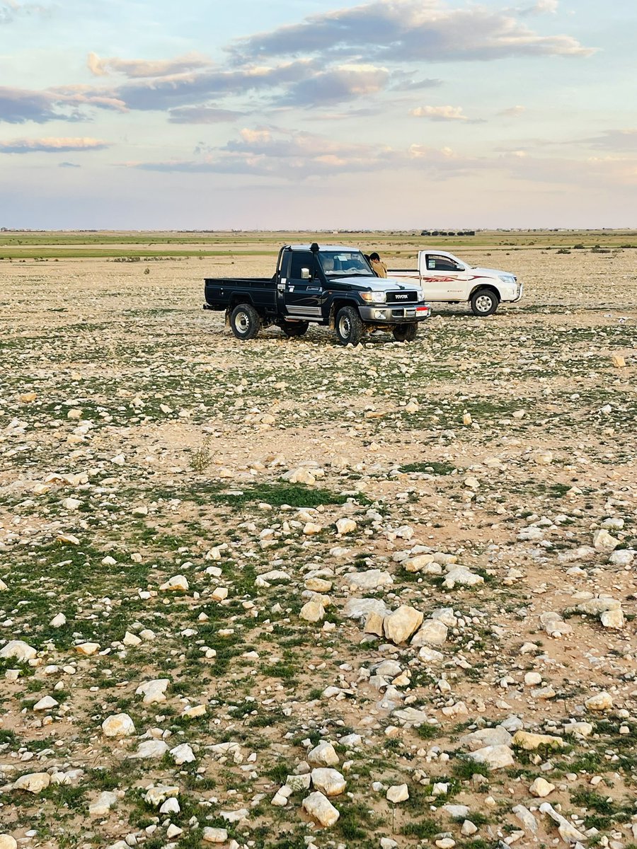مساء الخير