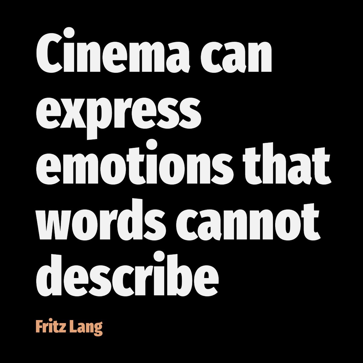 Sala46Films tweet media