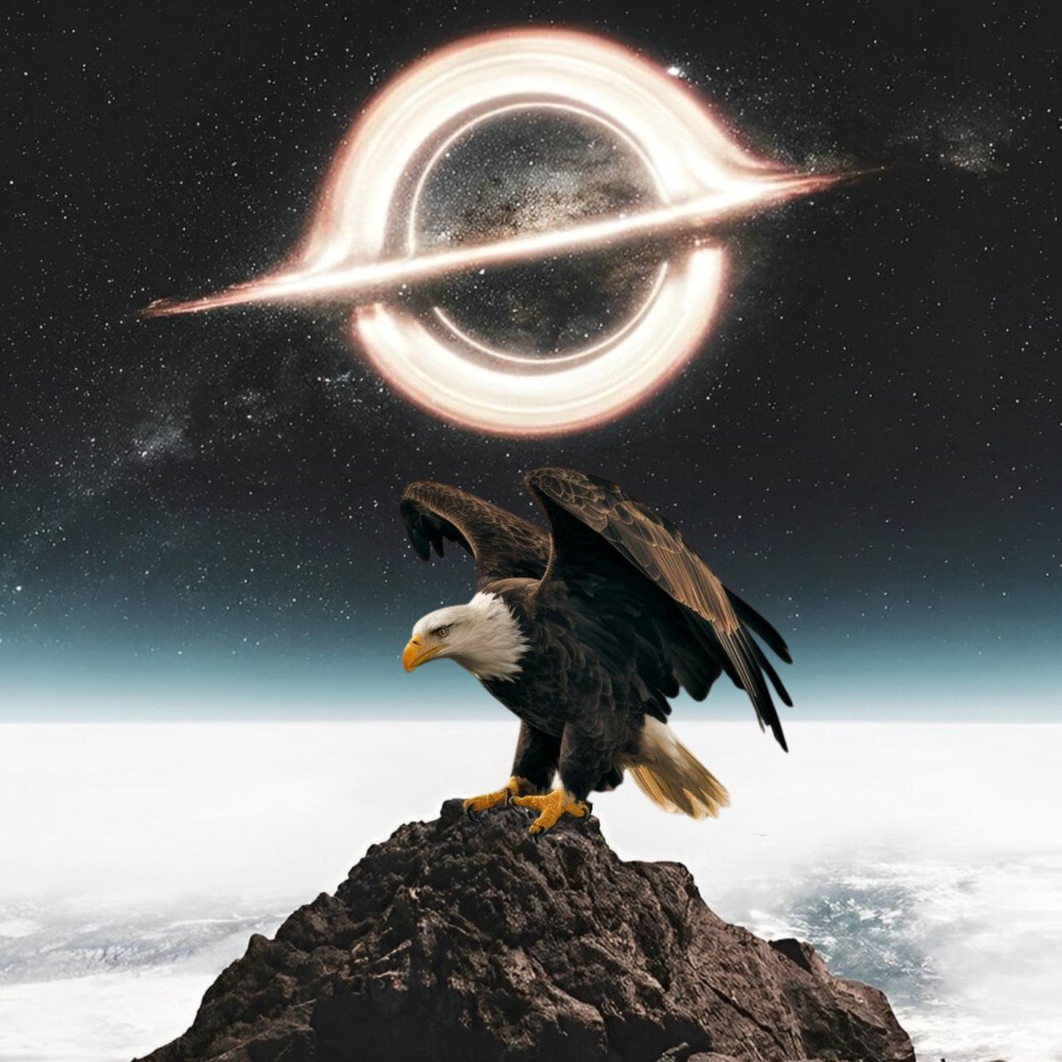 YOU•CANT•STOP•FREEDOM tweet media