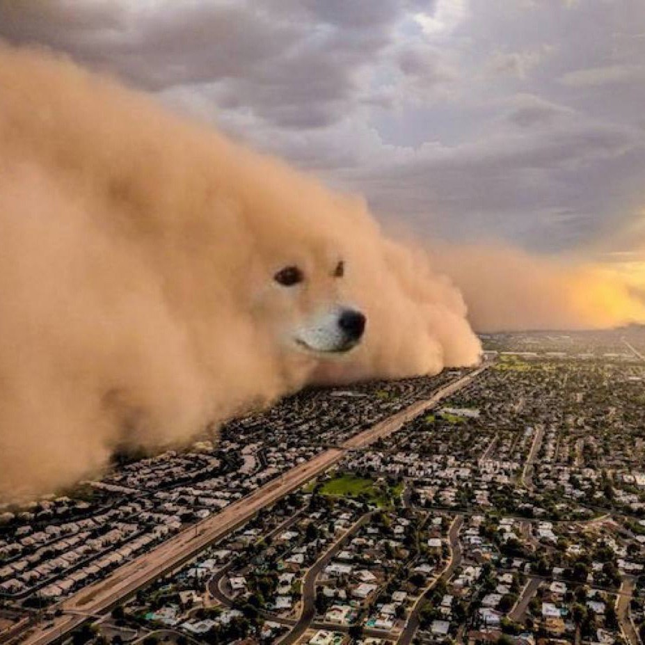 I have a strong feeling that DOGE Storm will send hard to millions. Aped hard #DOGESTORM !
    
7nZiAZQfa8j1mSJB6Km9bRHeiDbisCYpSxoFguSTpump      

Chart : pump.fun/coin/7nZiAZQfa…         

TG: t.me/DOGESTORM_SOL    

X : x.com/dogestorm_sol     

Website: