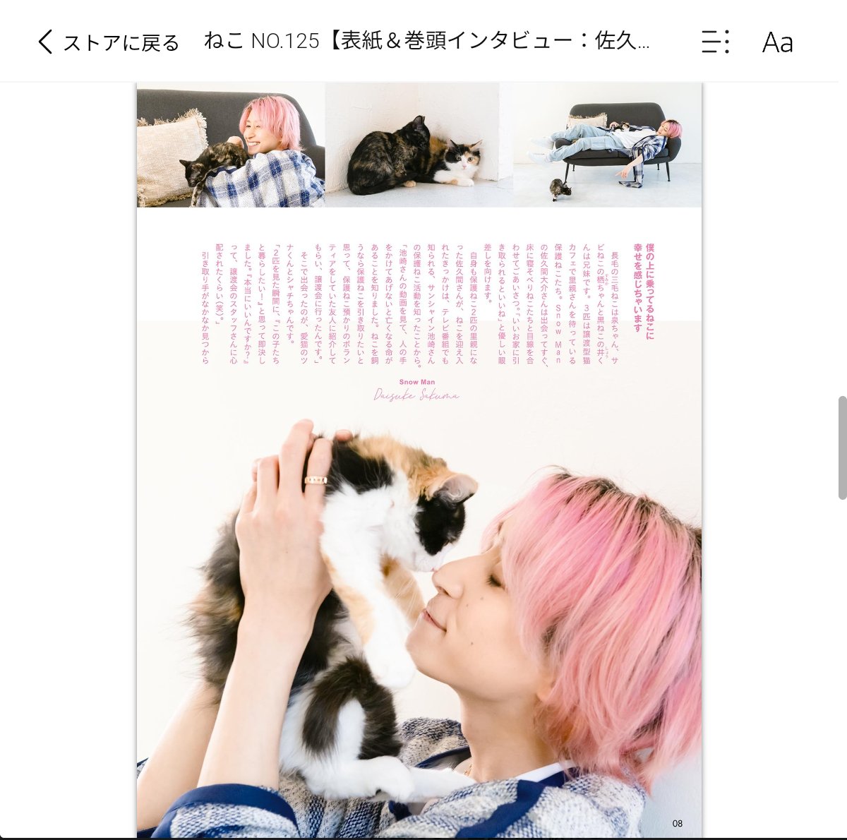 hell_o_momo's tweet photo. @amau_kisumi 雑誌「ねこ」って知ってる？
いろんな芸能人の方が愛猫とのグラビア＆表紙を飾っている猫ちゃん雑誌があって、推薦コメントやメッセージ受け付けています。Instagram【neko_magazine】
みんなで希純ちゃんリクエストしましょう💕 https://t.co/UJyOoEzAPv